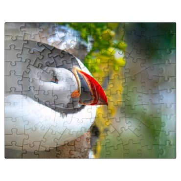 puzzleplate Puffin on a rock West Iceland Fjord 100 Jigsaw Puzzle
