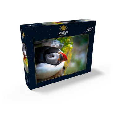 Puffin on a rock West Iceland Fjord 500 Jigsaw Puzzle box view1
