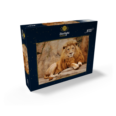 A lion relaxing on a stone 1000 Jigsaw Puzzle box view1