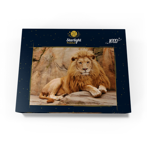 A lion relaxing on a stone 1000 Jigsaw Puzzle box view1