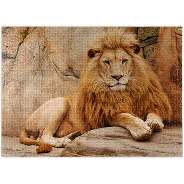 puzzleplate A lion relaxing on a stone 1000 Jigsaw Puzzle