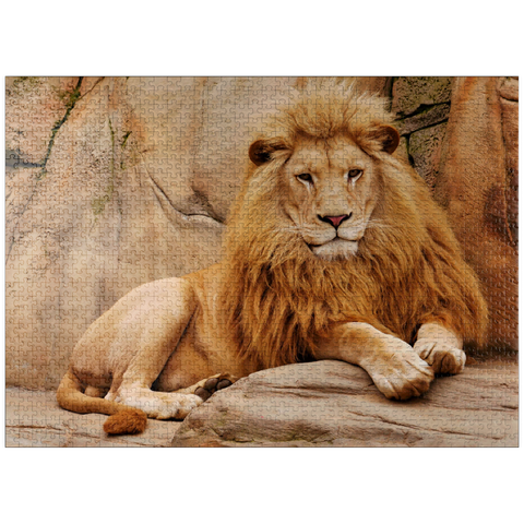 puzzleplate A lion relaxing on a stone 1000 Jigsaw Puzzle
