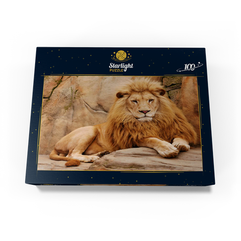 A lion relaxing on a stone 100 Jigsaw Puzzle box view1