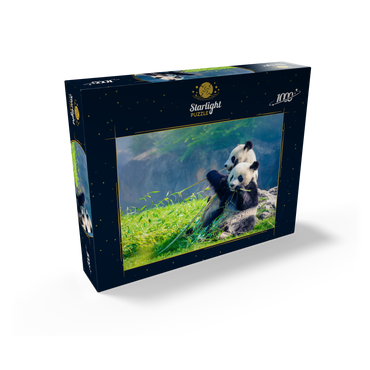 Mother panda and her baby panda eating bamboo 1000 Jigsaw Puzzle box view1