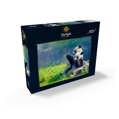 Mother panda and her baby panda eating bamboo 1000 Jigsaw Puzzle box view1
