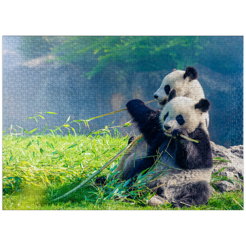 puzzleplate Mother panda and her baby panda eating bamboo 1000 Jigsaw Puzzle