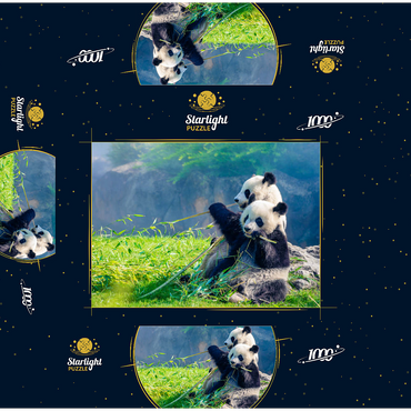 Mother panda and her baby panda eating bamboo 1000 Jigsaw Puzzle box 3D Modell