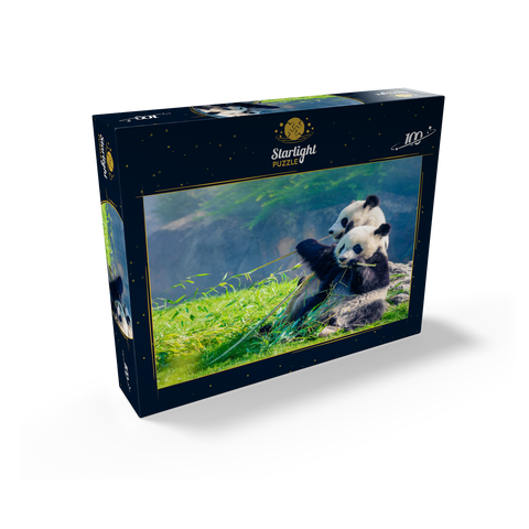 Mother panda and her baby panda eating bamboo 100 Jigsaw Puzzle box view1