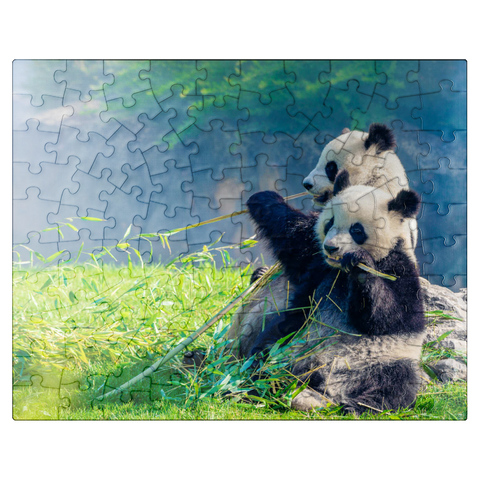 puzzleplate Mother panda and her baby panda eating bamboo 100 Jigsaw Puzzle