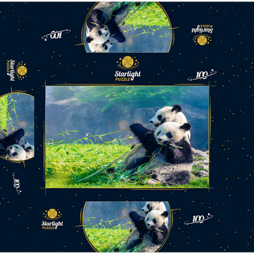 Mother panda and her baby panda eating bamboo 100 Jigsaw Puzzle box 3D Modell