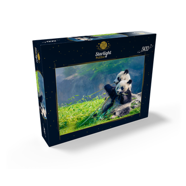 Mother panda and her baby panda eating bamboo 500 Jigsaw Puzzle box view1