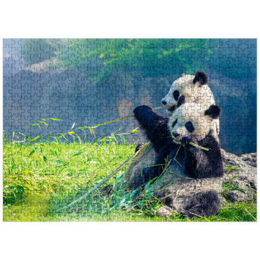 puzzleplate Mother panda and her baby panda eating bamboo 500 Jigsaw Puzzle