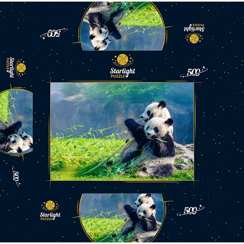 Mother panda and her baby panda eating bamboo 500 Jigsaw Puzzle box 3D Modell