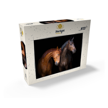 Two horses close up isolated on black background 1000 Jigsaw Puzzle box view1