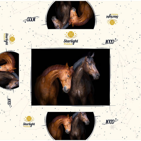 Two horses close up isolated on black background 1000 Jigsaw Puzzle box 3D Modell