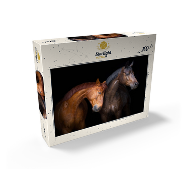 Two horses close up isolated on black background 100 Jigsaw Puzzle box view1