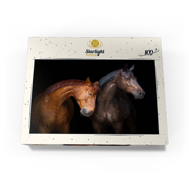 Two horses close up isolated on black background 100 Jigsaw Puzzle box view1