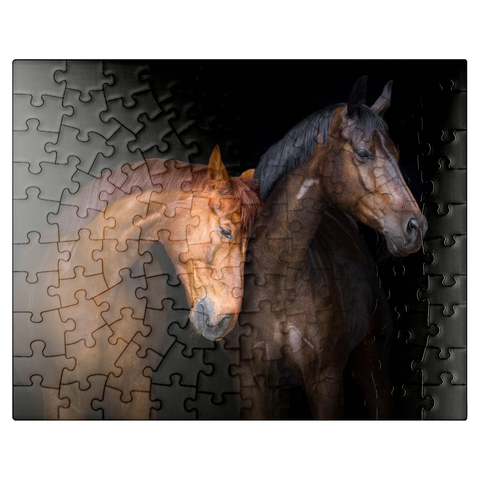 puzzleplate Two horses close up isolated on black background 100 Jigsaw Puzzle