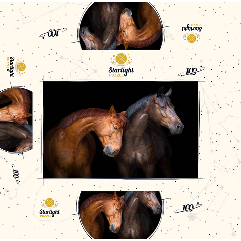 Two horses close up isolated on black background 100 Jigsaw Puzzle box 3D Modell