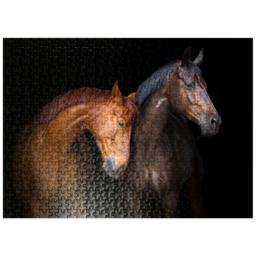 puzzleplate Two horses close up isolated on black background 500 Jigsaw Puzzle