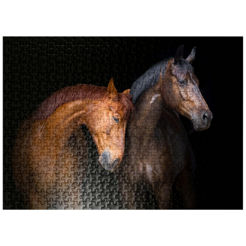 puzzleplate Two horses close up isolated on black background 500 Jigsaw Puzzle
