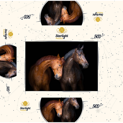 Two horses close up isolated on black background 500 Jigsaw Puzzle box 3D Modell
