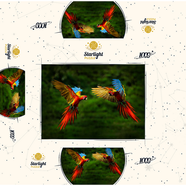 Parrots in forest, parrot flying in dark green vegetation 1000 Jigsaw Puzzle box 3D Modell