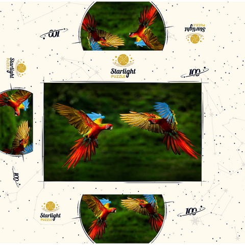 Parrots in forest parrot flying in dark green vegetation 100 Jigsaw Puzzle box 3D Modell