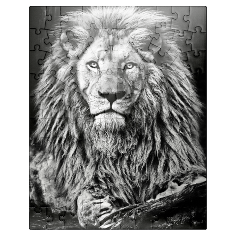 puzzleplate Black and white image of majestic lion 100 Jigsaw Puzzle