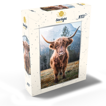 Highland cattle in the Italian Dolomites 1000 Jigsaw Puzzle box view1