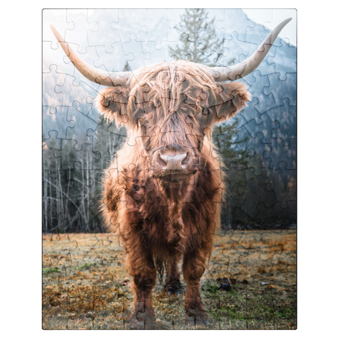 puzzleplate Highland cattle in the Italian Dolomites 100 Jigsaw Puzzle