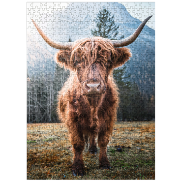 puzzleplate Highland cattle in the Italian Dolomites 500 Jigsaw Puzzle