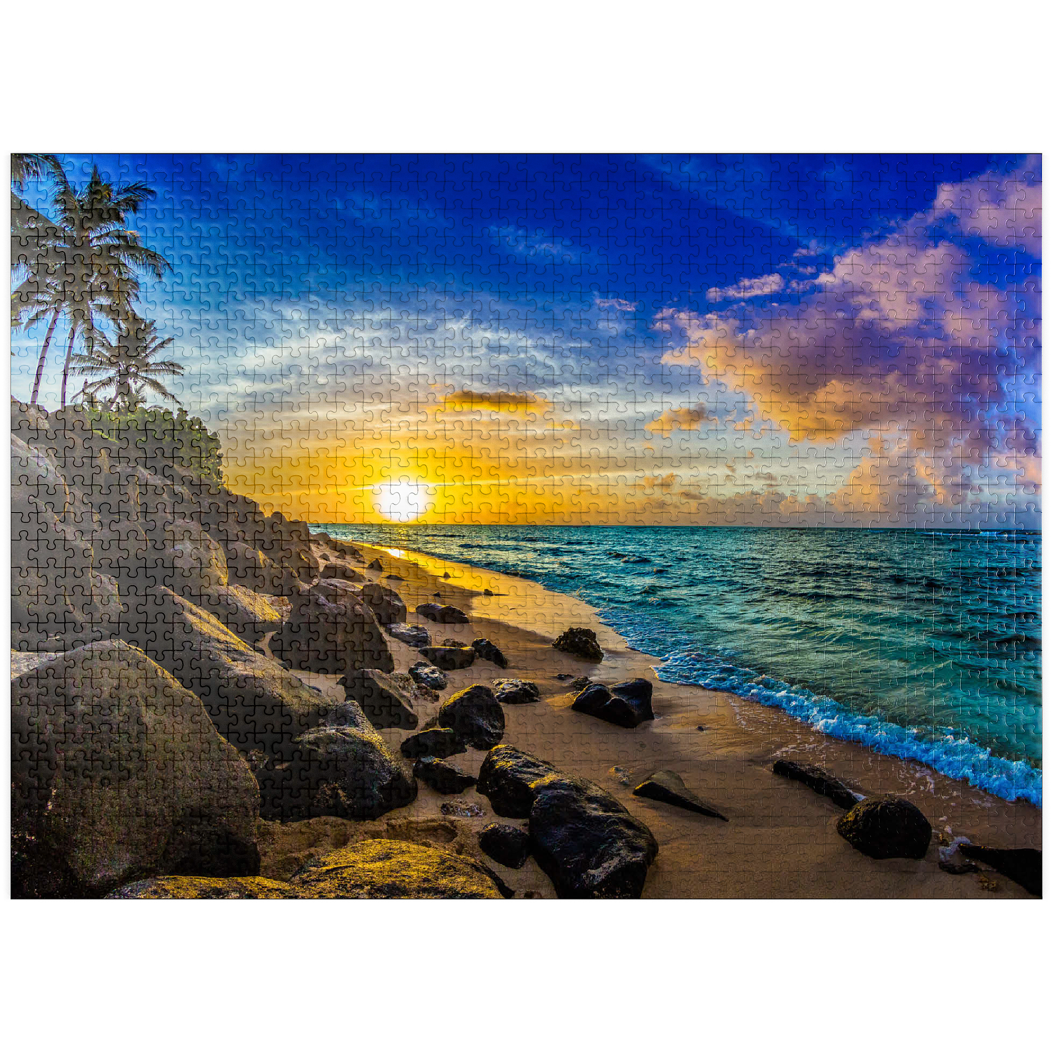 61f123fc0b800949e5598bab_1000U 61f123fc0b800949e5598bab_1000U