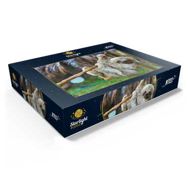 Sloths at San Jose Rescue Center, Costa Rica 1000 Jigsaw Puzzle box view1