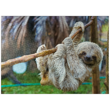 puzzleplate Sloths at San Jose Rescue Center, Costa Rica 1000 Jigsaw Puzzle