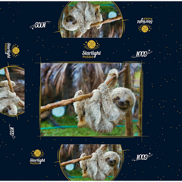 Sloths at San Jose Rescue Center, Costa Rica 1000 Jigsaw Puzzle box 3D Modell