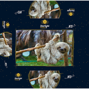 Sloths at San Jose Rescue Center Costa Rica 100 Jigsaw Puzzle box 3D Modell