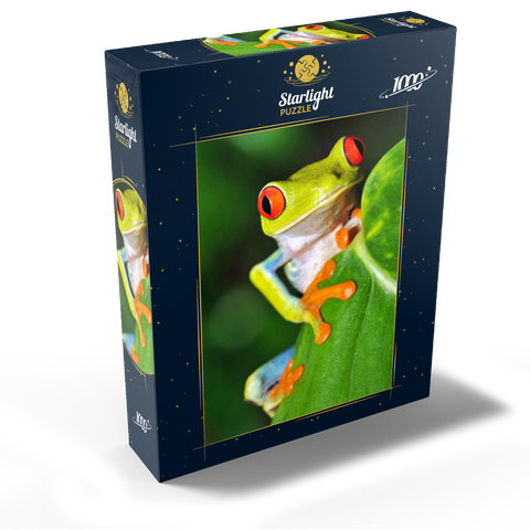Green tree frog 1000 Jigsaw Puzzle box view1