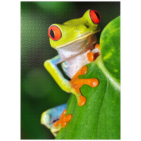 puzzleplate Green tree frog 1000 Jigsaw Puzzle