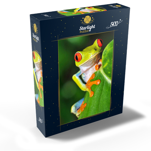 Green tree frog 500 Jigsaw Puzzle box view1
