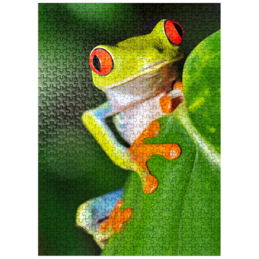puzzleplate Green tree frog 500 Jigsaw Puzzle