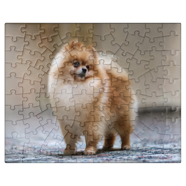 puzzleplate Dog Show Champion - Miniature Spitz 100 Jigsaw Puzzle