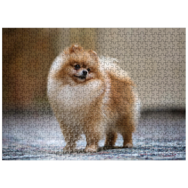 puzzleplate Dog Show Champion - Miniature Spitz 500 Jigsaw Puzzle