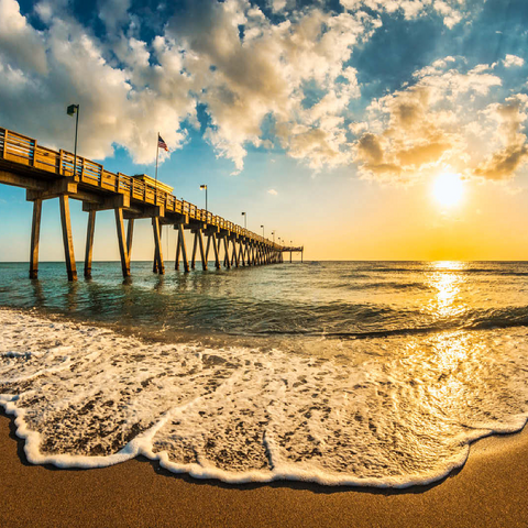 Late afternoon sun over Gulf of Mexico, Venice Fishing Pier, Florida 100 Jigsaw Puzzle 3D Modell