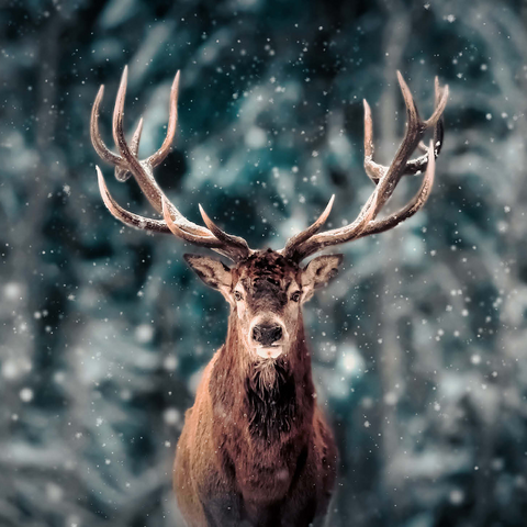 Noble deer in winter snow forest 1000 Jigsaw Puzzle 3D Modell