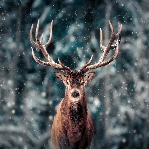 Noble deer in winter snow forest 100 Jigsaw Puzzle 3D Modell