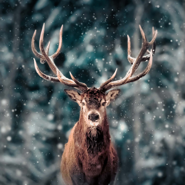 Noble deer in winter snow forest 500 Jigsaw Puzzle 3D Modell