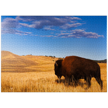 puzzleplate Bison / buffalo running in the rolling hills of the prairie 1000 Jigsaw Puzzle