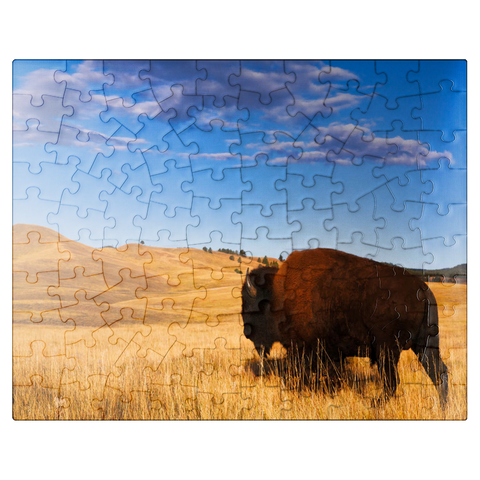 puzzleplate Bison / buffalo running in the rolling hills of the prairie 100 Jigsaw Puzzle