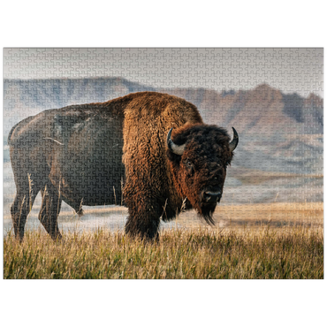 puzzleplate American Bison in South Dakota 1000 Jigsaw Puzzle